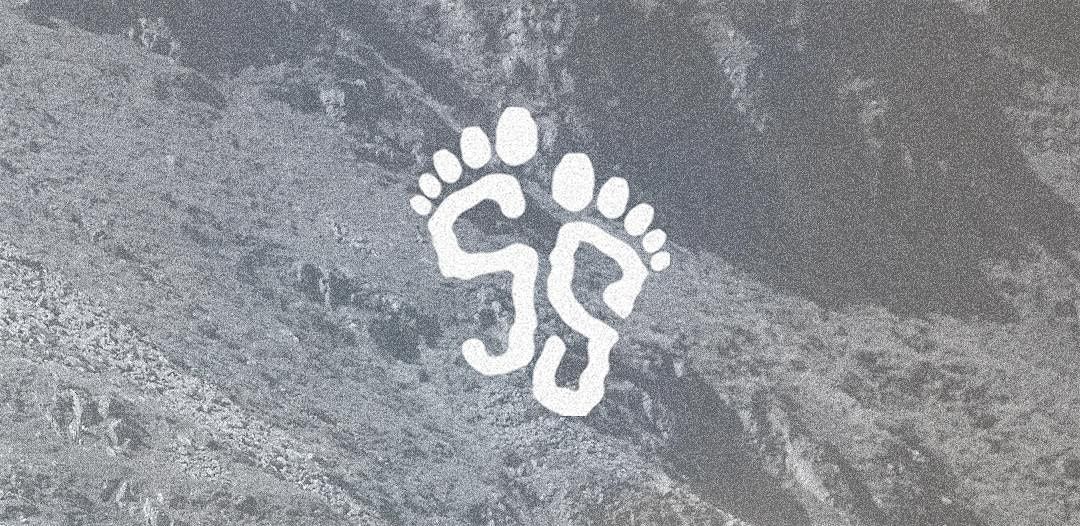 Steady Stepping: Hike With Salomon