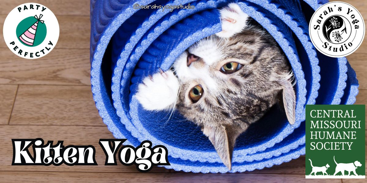 Kitten Yoga at Party Perfectly with Sarah's Yoga Studio