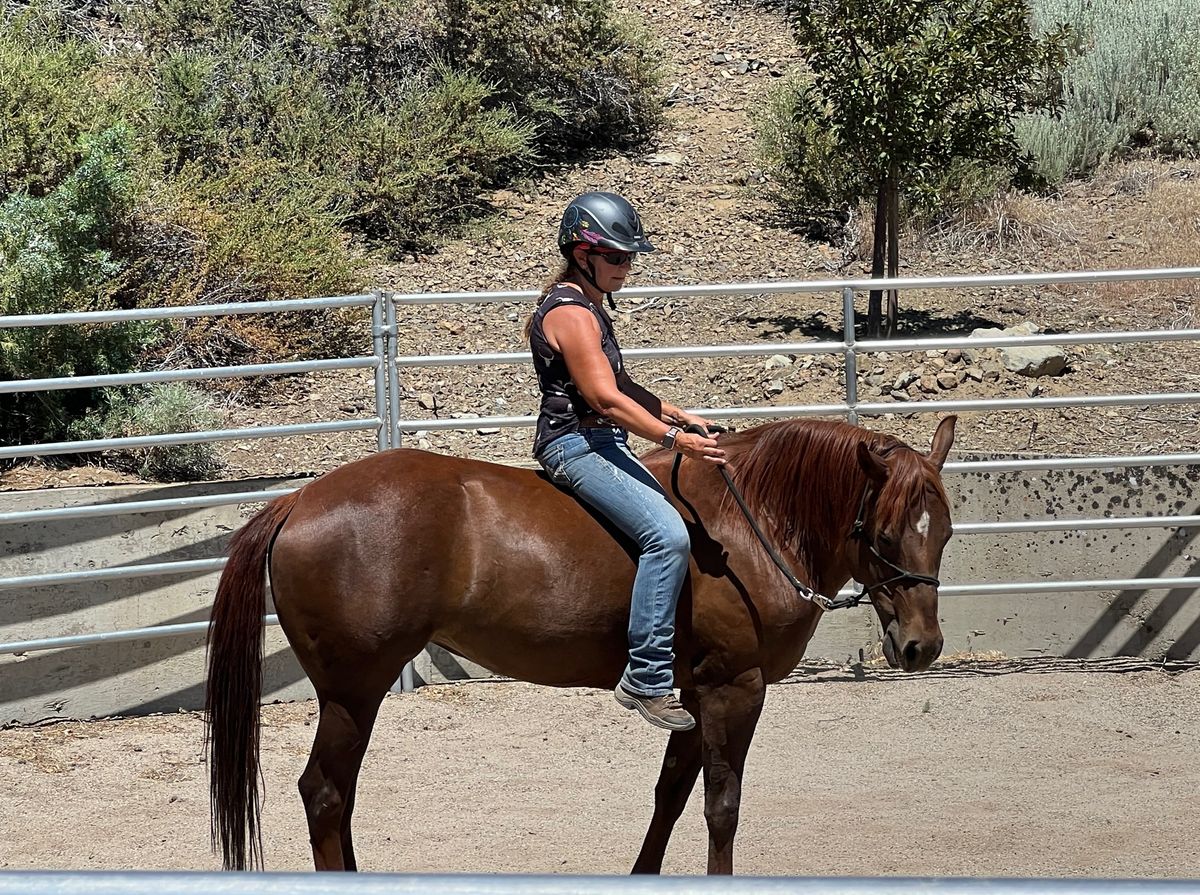 Transform Your Horsemanship Journey