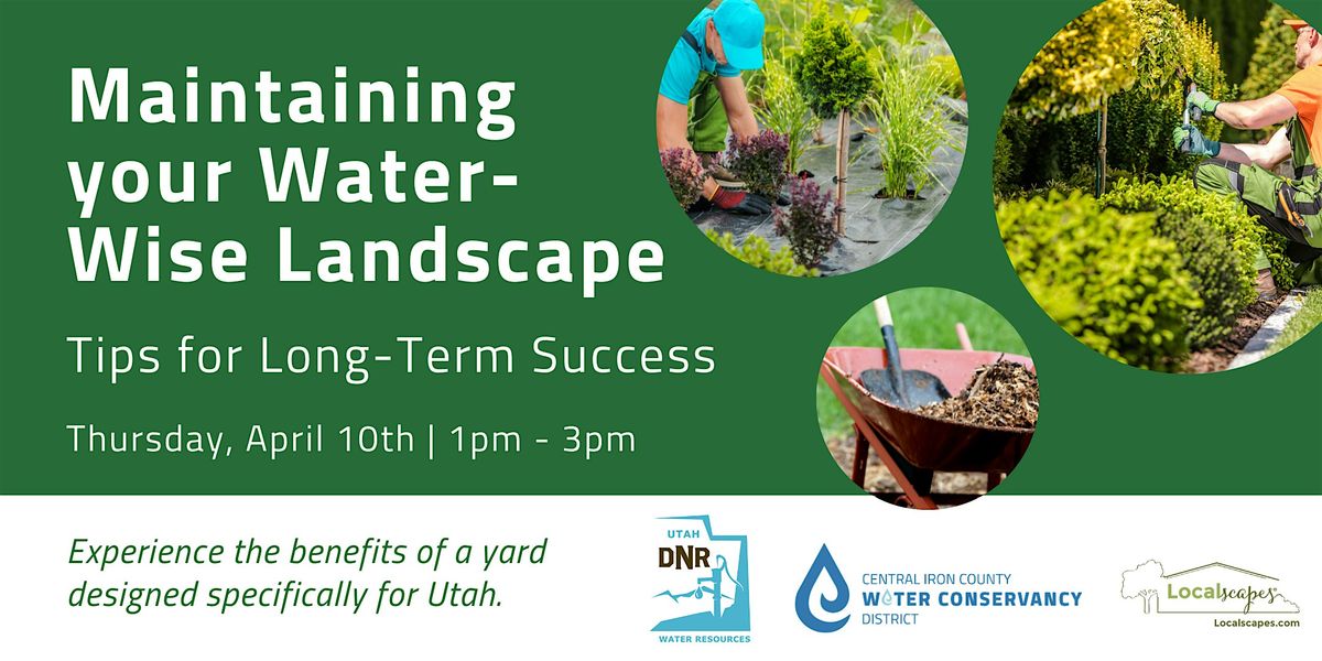 Maintaining Your Water-Wise Landscape: Tips for Long-Term Success