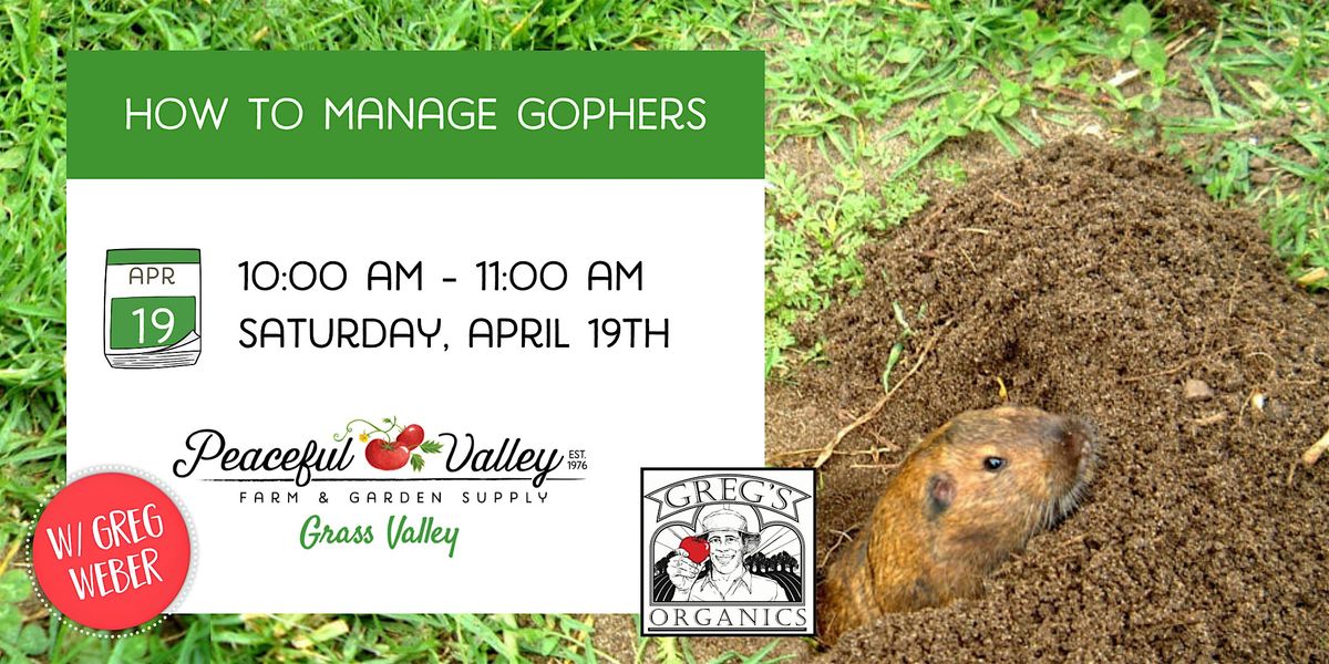 How to Manage Gophers