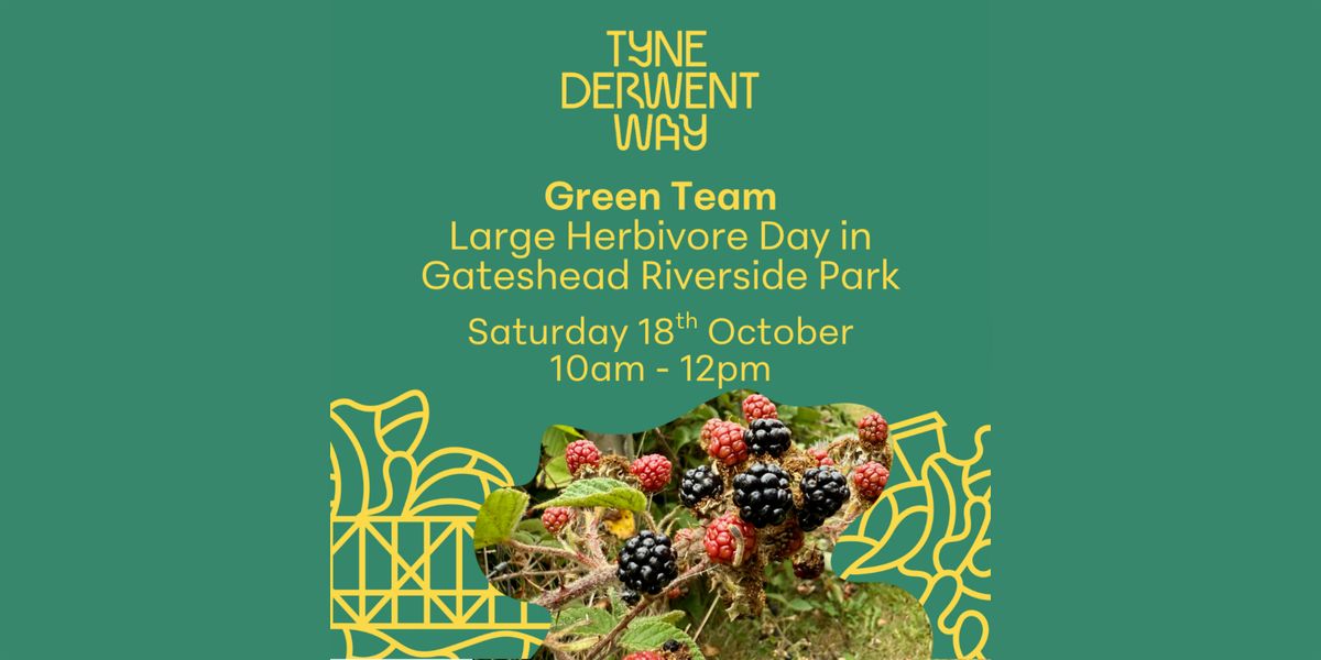 Green Team | Large Herbivore Day in Gateshead Riverside Park