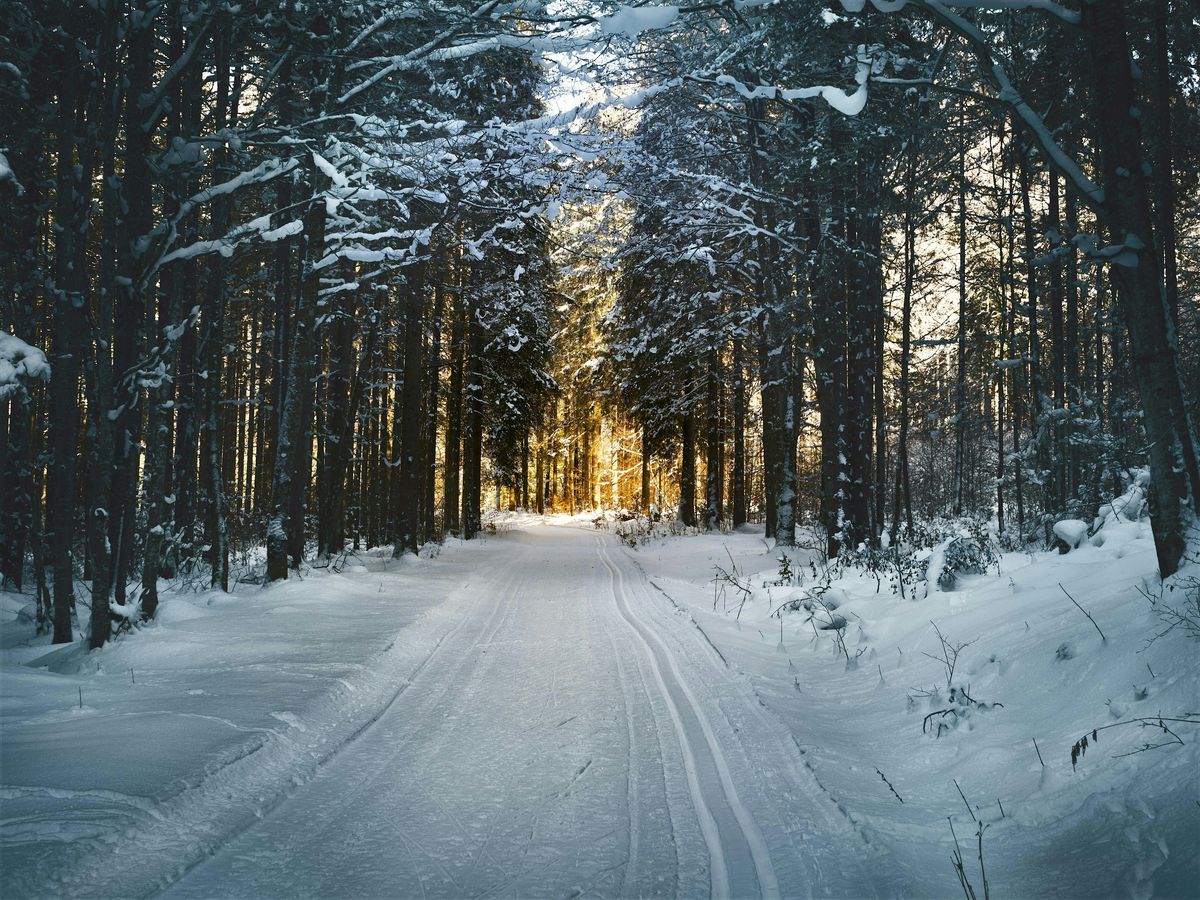 Navigating Loss During the Holidays
