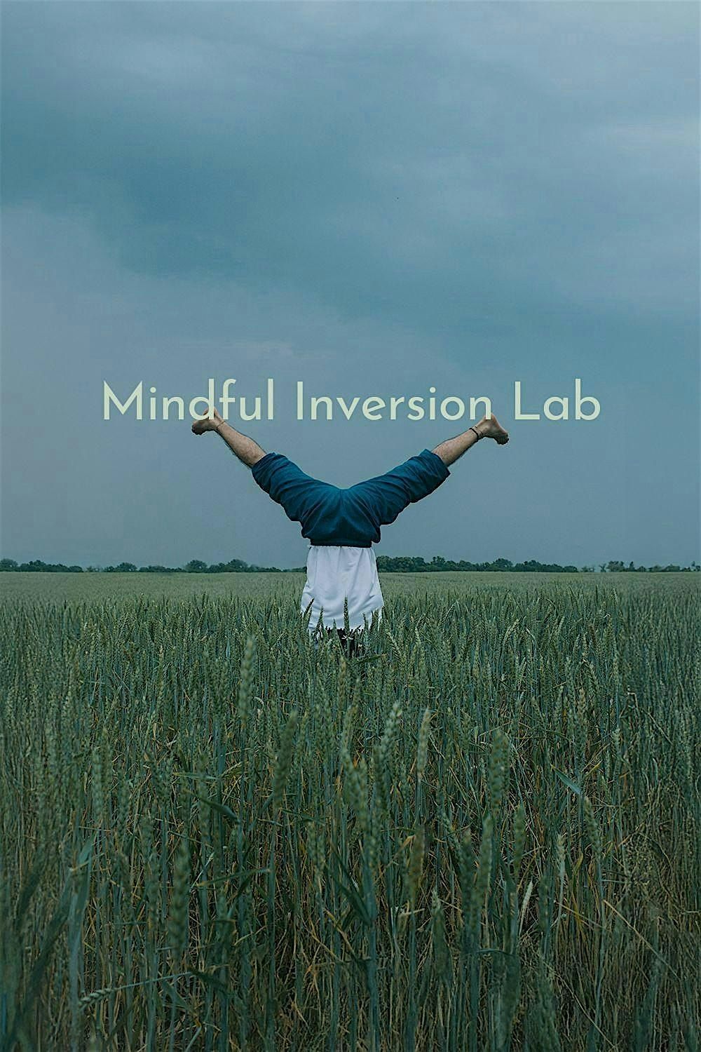 Mindful Inversion Lab