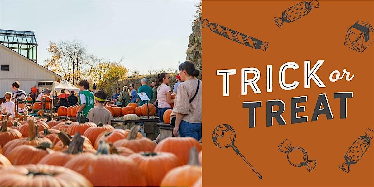 Trick or Treat at Mahoney's Falmouth