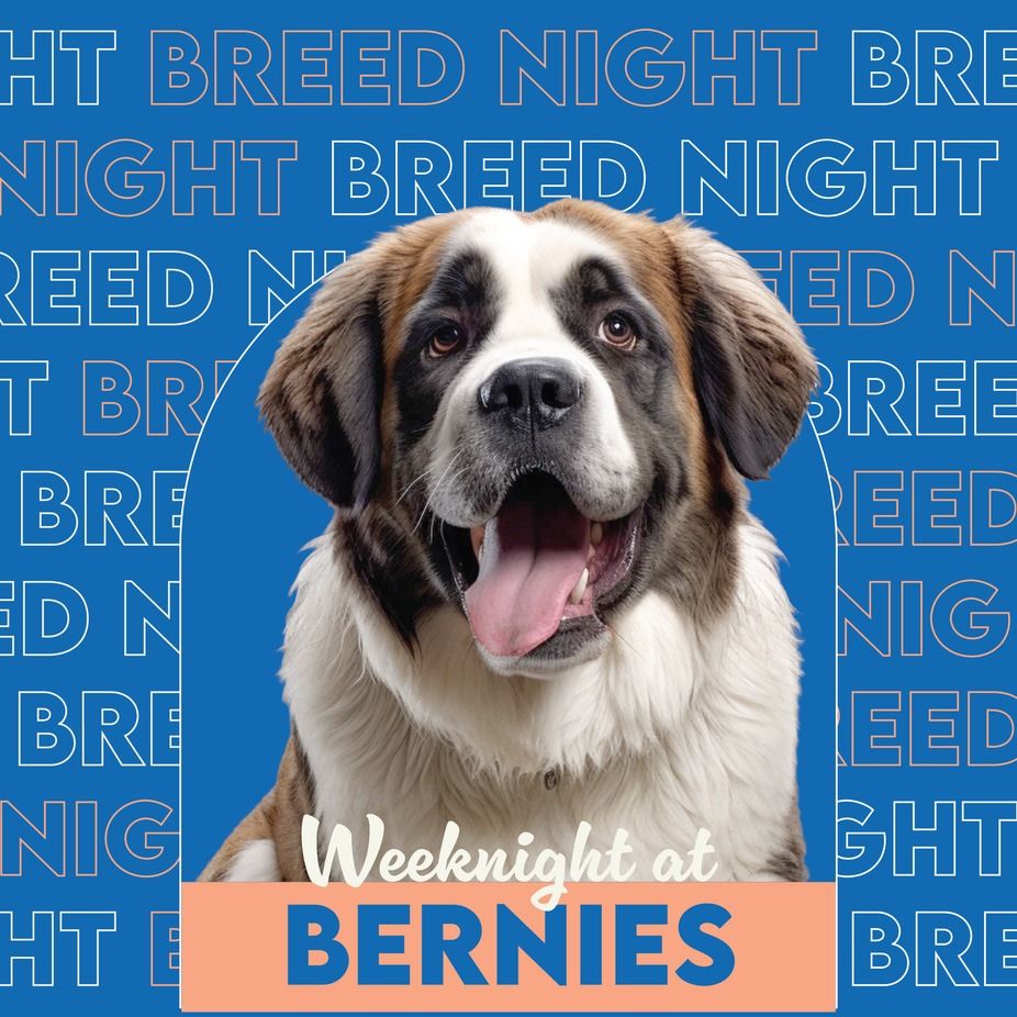 Bernese Mountain Dog & St. Bernard Breed Night
