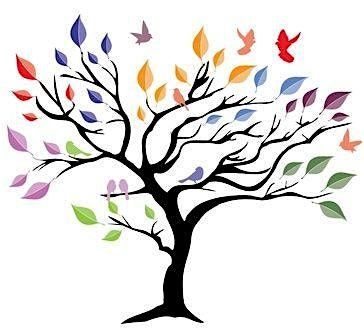 Finding The Right Support: Navigating Mental Health & Educational Options