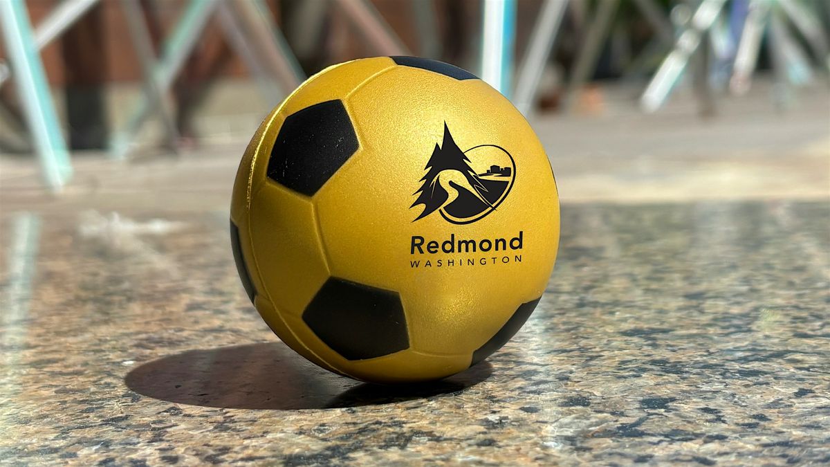Let's Get Match Ready: World Cup Info and Strategy Session