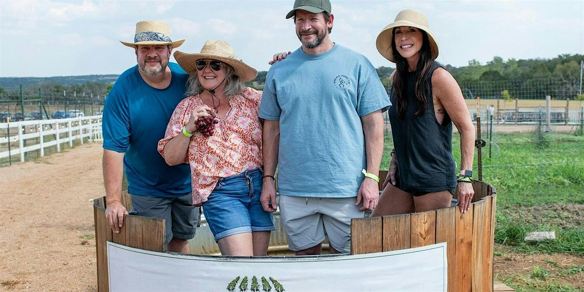 Fredericksburg Grape Stomp at Grapetown Vineyard