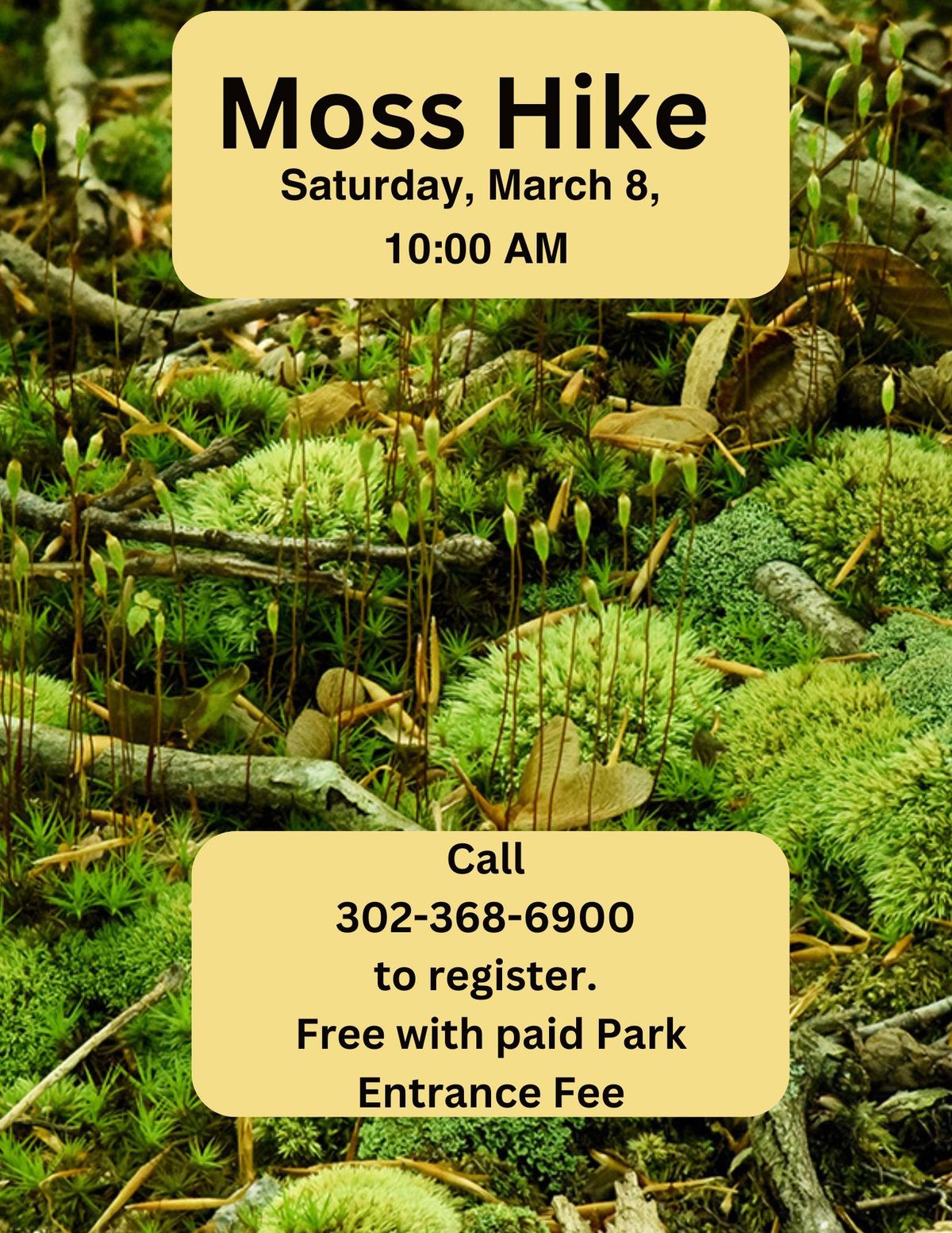 Moss Hike- Celebrate the Green