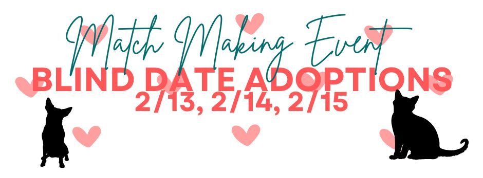 Match Making Event - Blind Date Adoptions