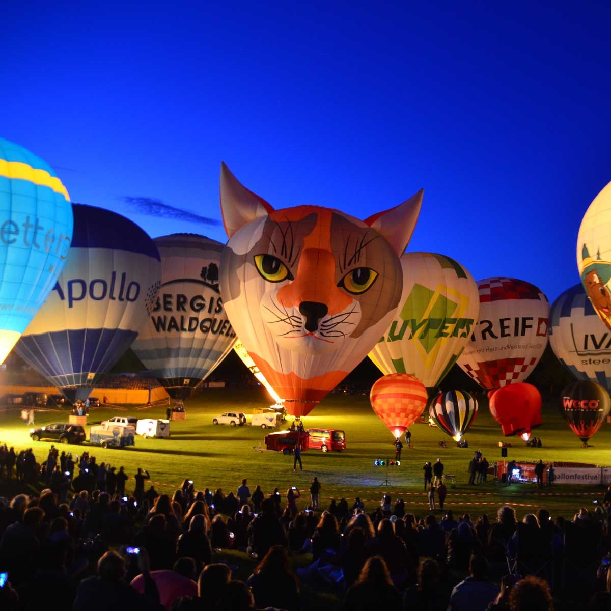 Ballonfestival Bonn - Rheinaue Bonn