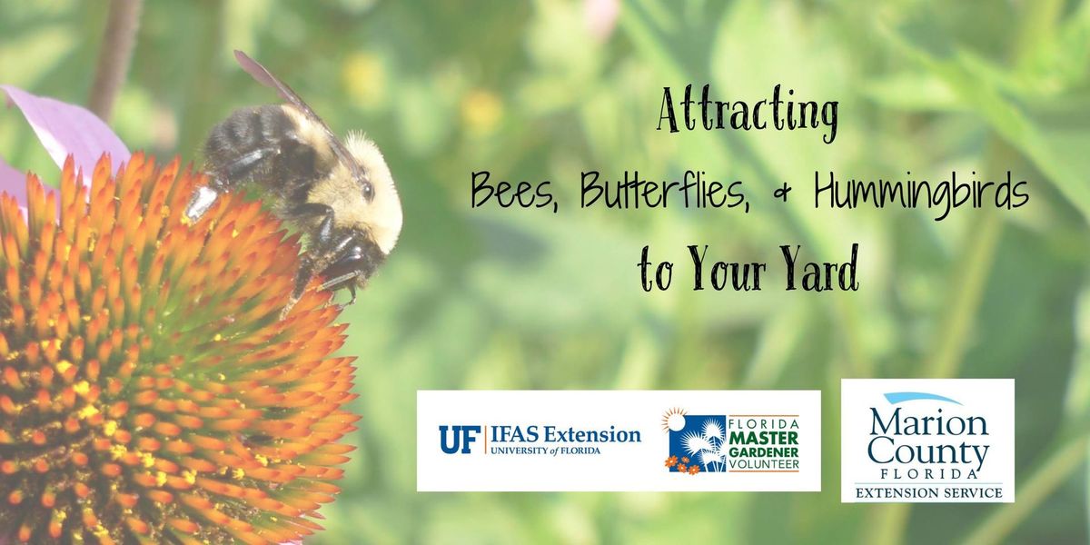 Attracting Bees, Butterflies, & Hummingbirds to Your Yard - FREE