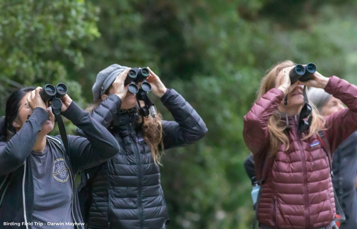 Berkeley Bird Festival