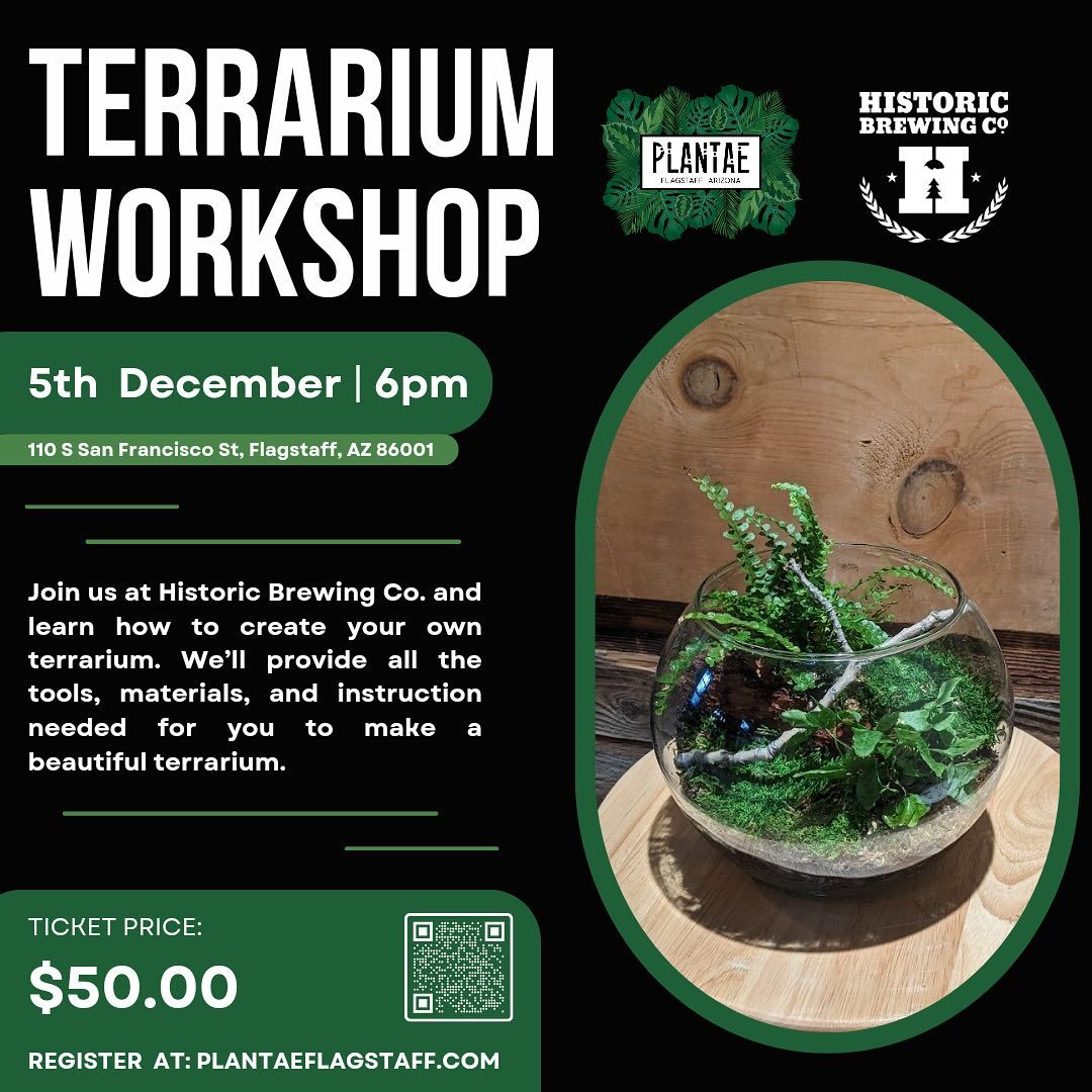 Plantae Terrarium Workshop