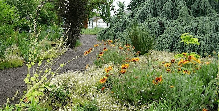 Intro to Naturescaping