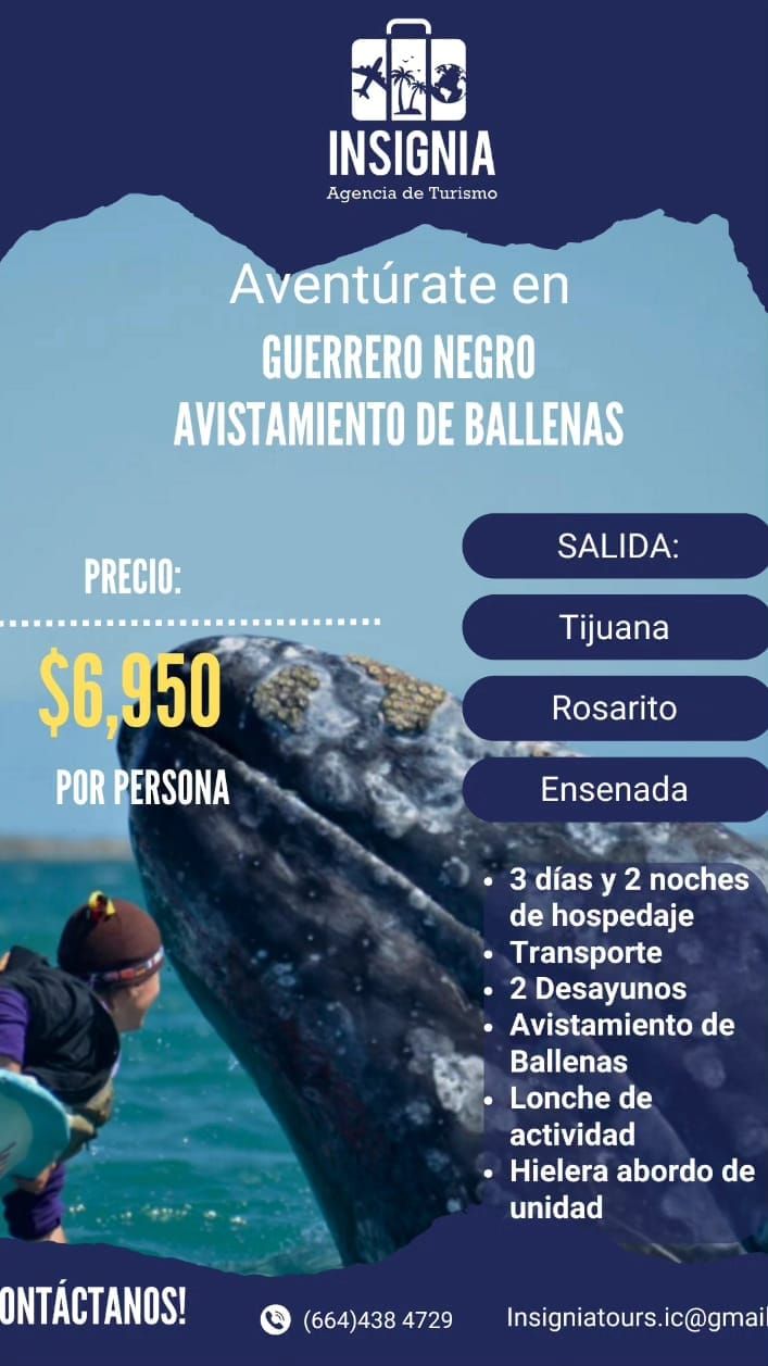 Ballena Gris #GuerreroNegro