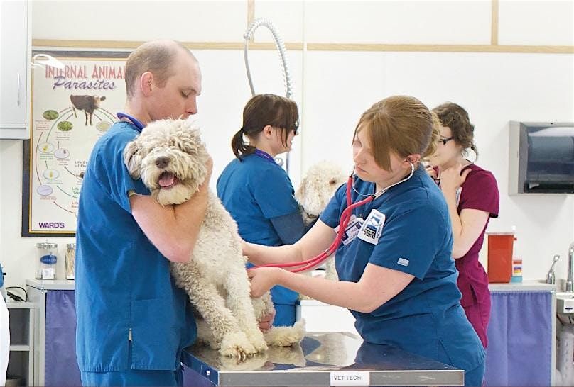 BTC Veterinary Technician Info Session