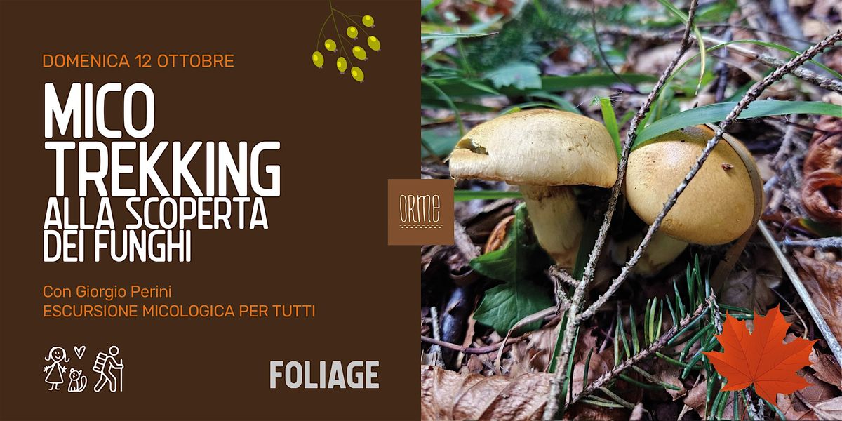 MICO-TREKKING: ALLA SCOPERTA DEI FUNGHI