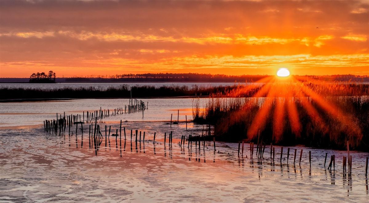 NJ Audubon: Digital Photography Blackwater NWR Weekend Field Trip