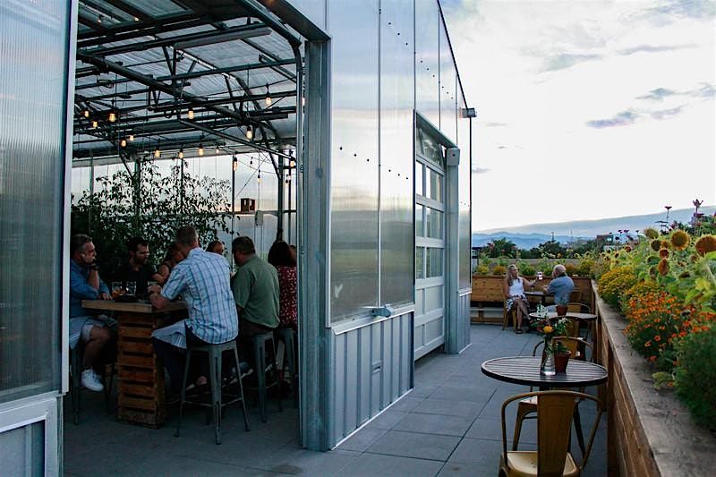 Sunset Cocktails & Grill Out