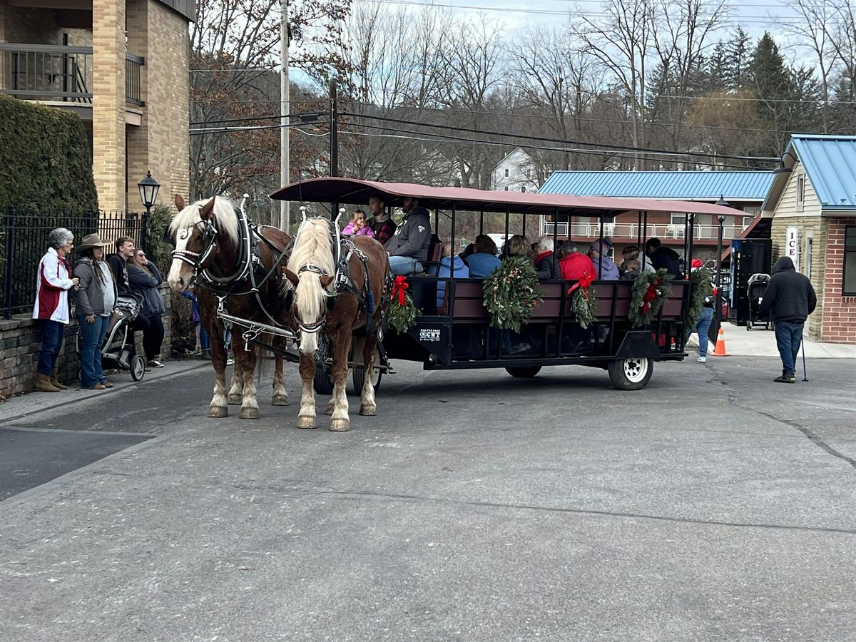 Wagon Ride to Santa\u2019s Village at Mistletoe Farm - Wellsboro, PA