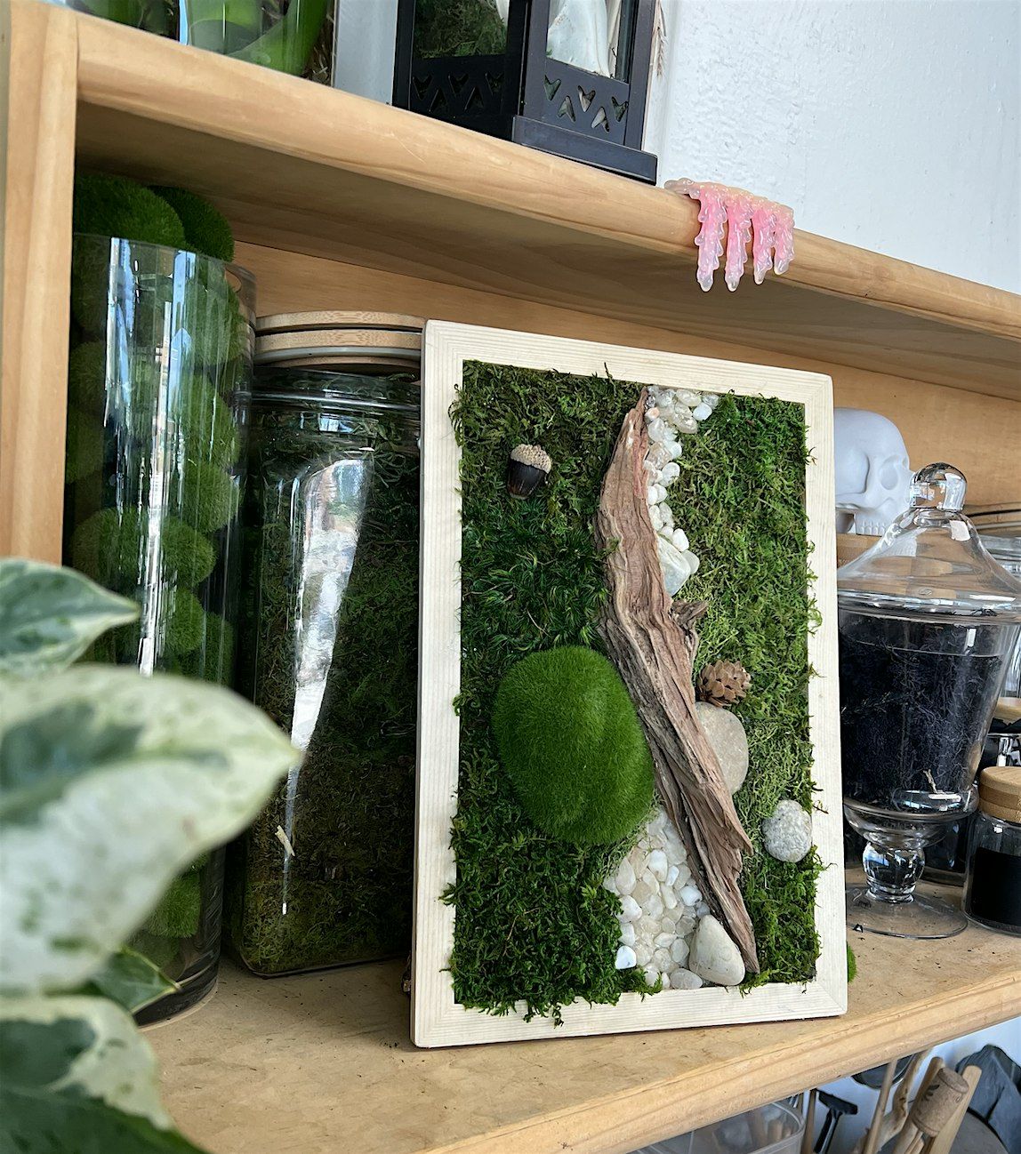 Oddity and Preserved Moss Wall Art Class