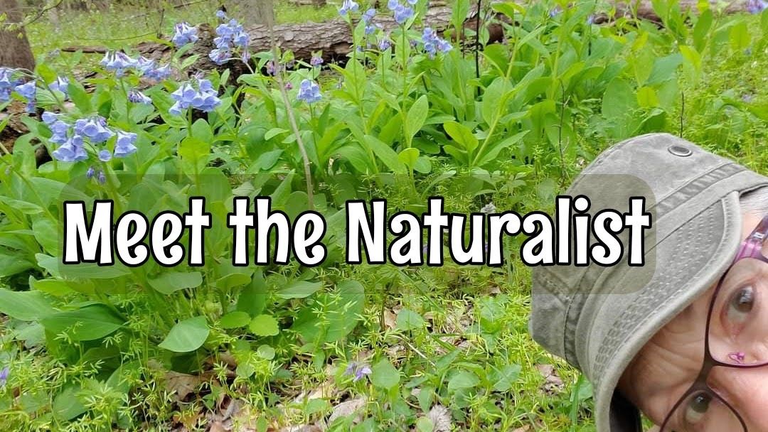 Meet the Naturalist