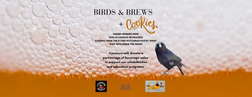 Birds & Brews + Cookies!