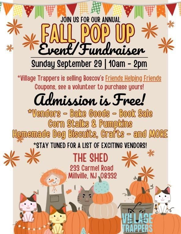 Fall Pop Up