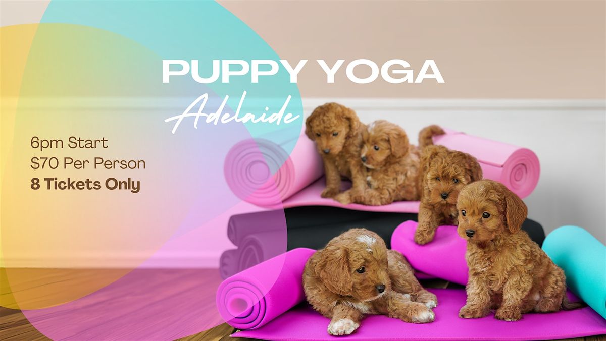 Puppy Yoga in Adelaide