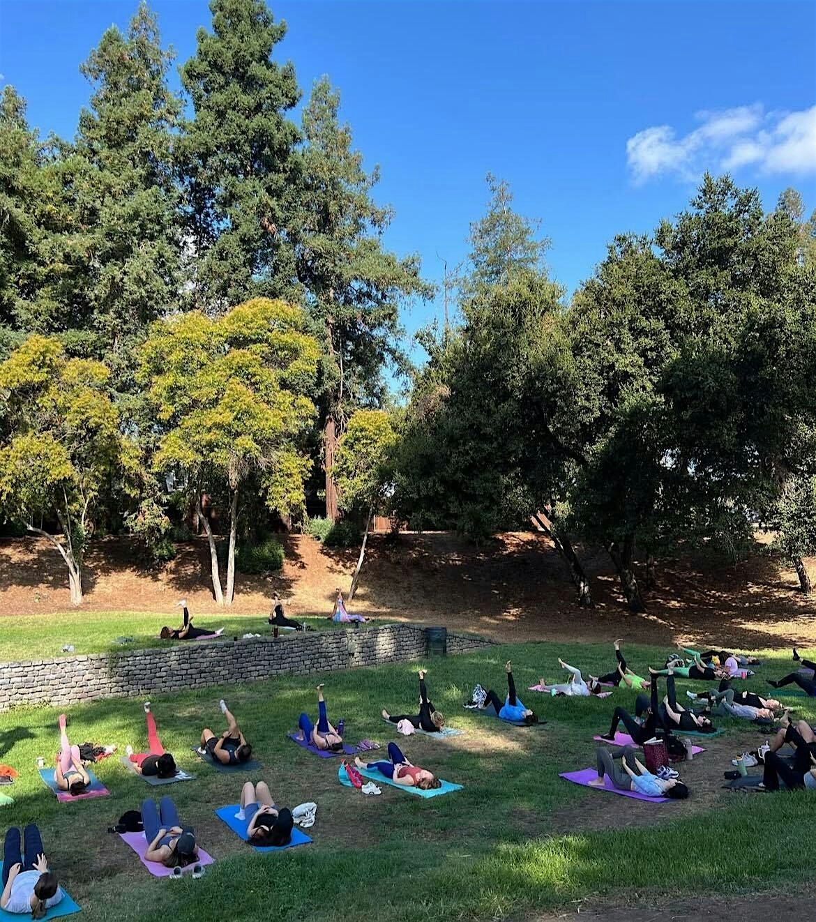 Pilates in the Park