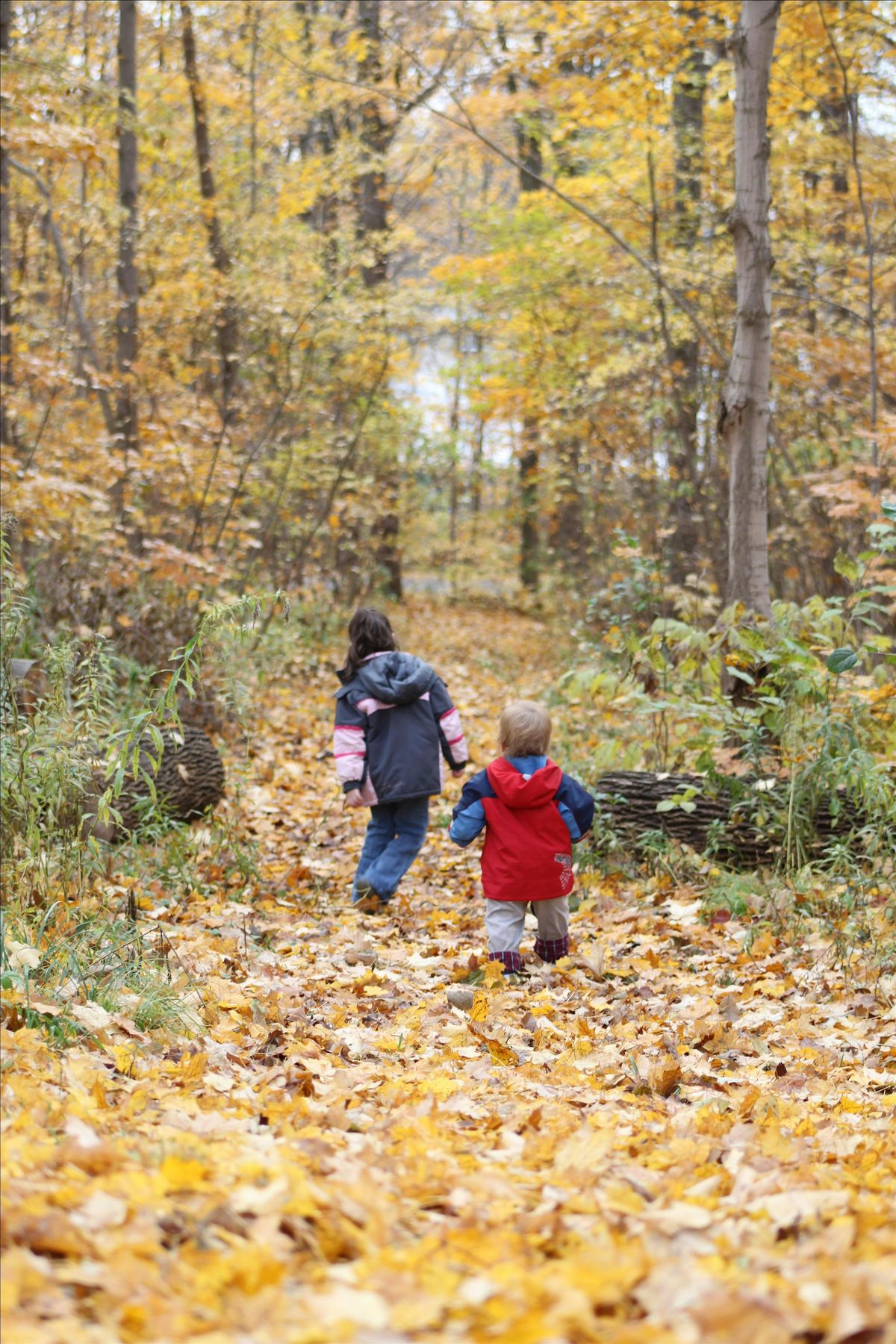 Trail of Treasures at Bruce's Mill