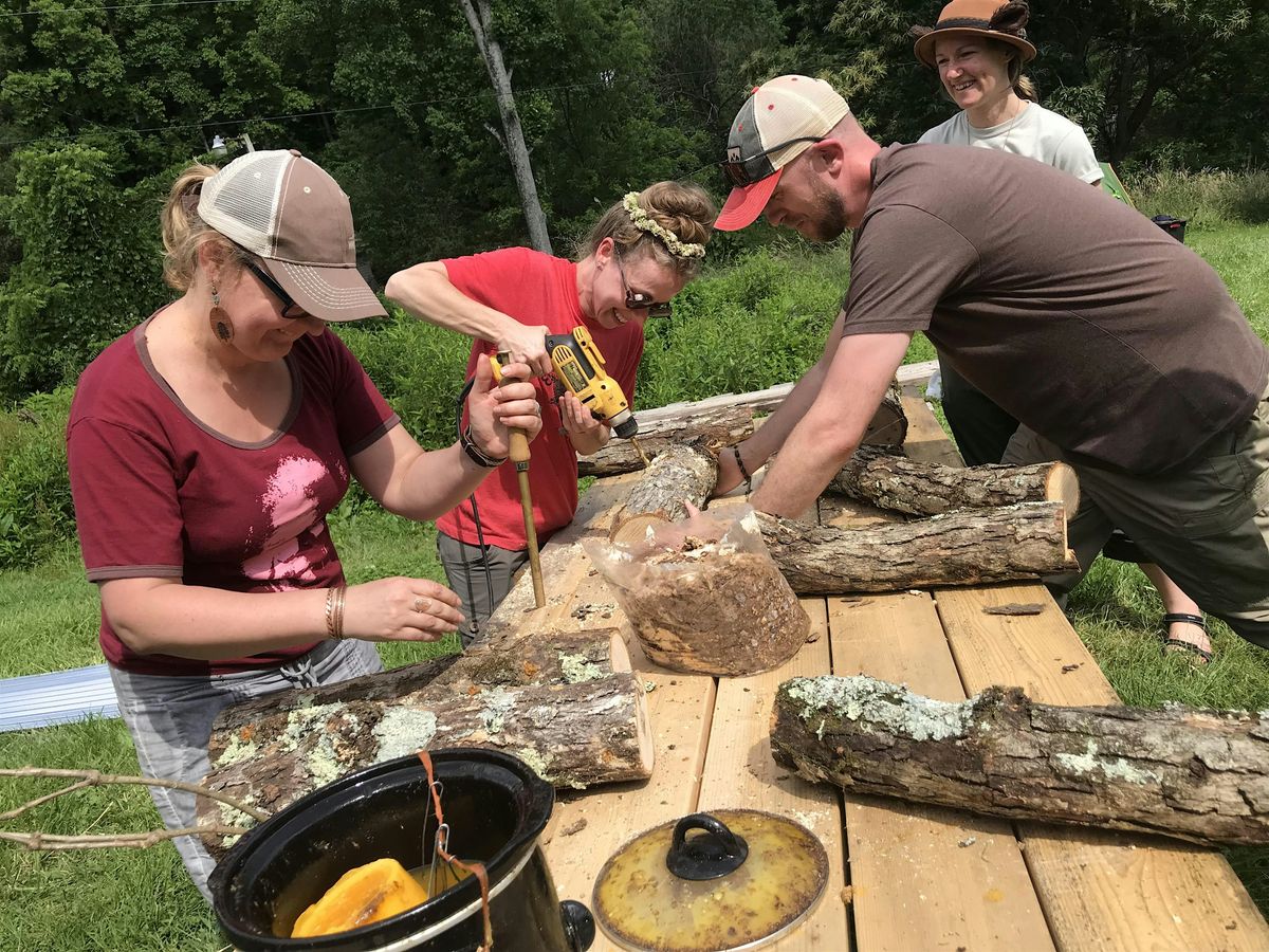 Mushroom Cultivation Workshop for Beginners