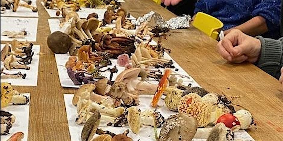 Mushroom University