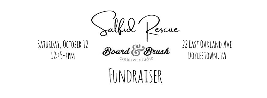 Board and Brush fundraiser for Salfid Rescue