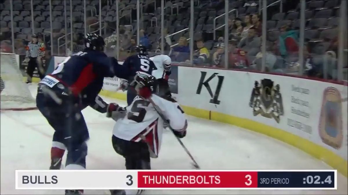 Evansville Thunderbolts at Birmingham Bulls