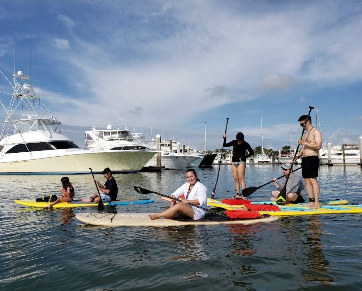 Battle to Paddle - St Augustine Dolphin Sessions 