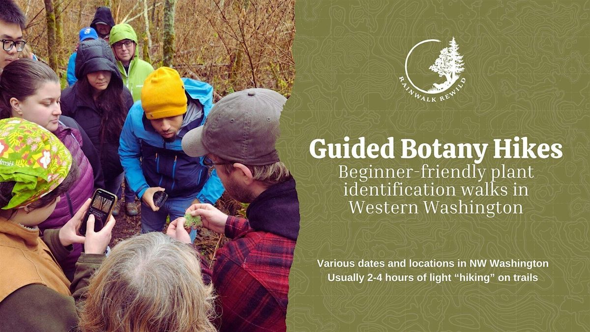 Guided Foraging and Botany Hikes in Northwestern Washington