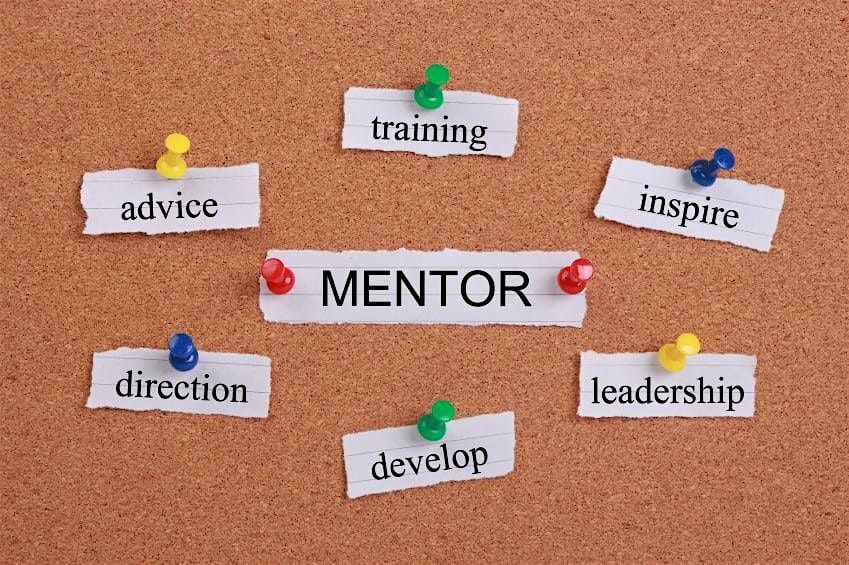 Creating Connections - Career Enrichment through Mentorship