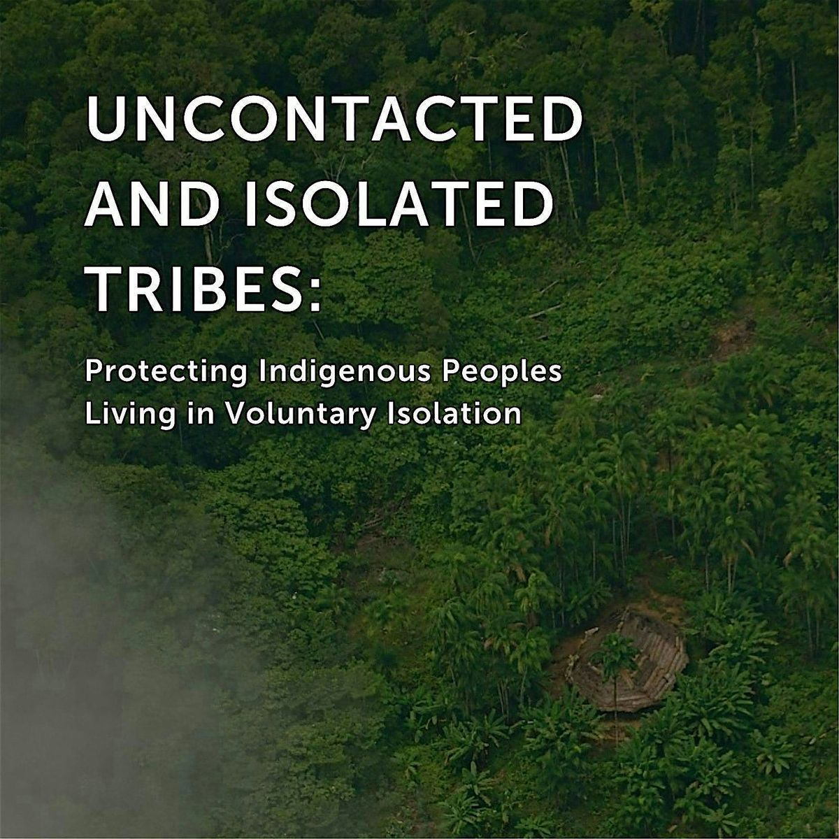 Amazon Conservation Team: Uncontacted and Isolated Tribes