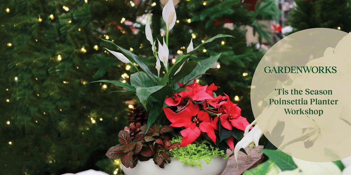 \u2018Tis the Season Poinsettia  Planter Workshop at GARDENWORKS Nanaimo