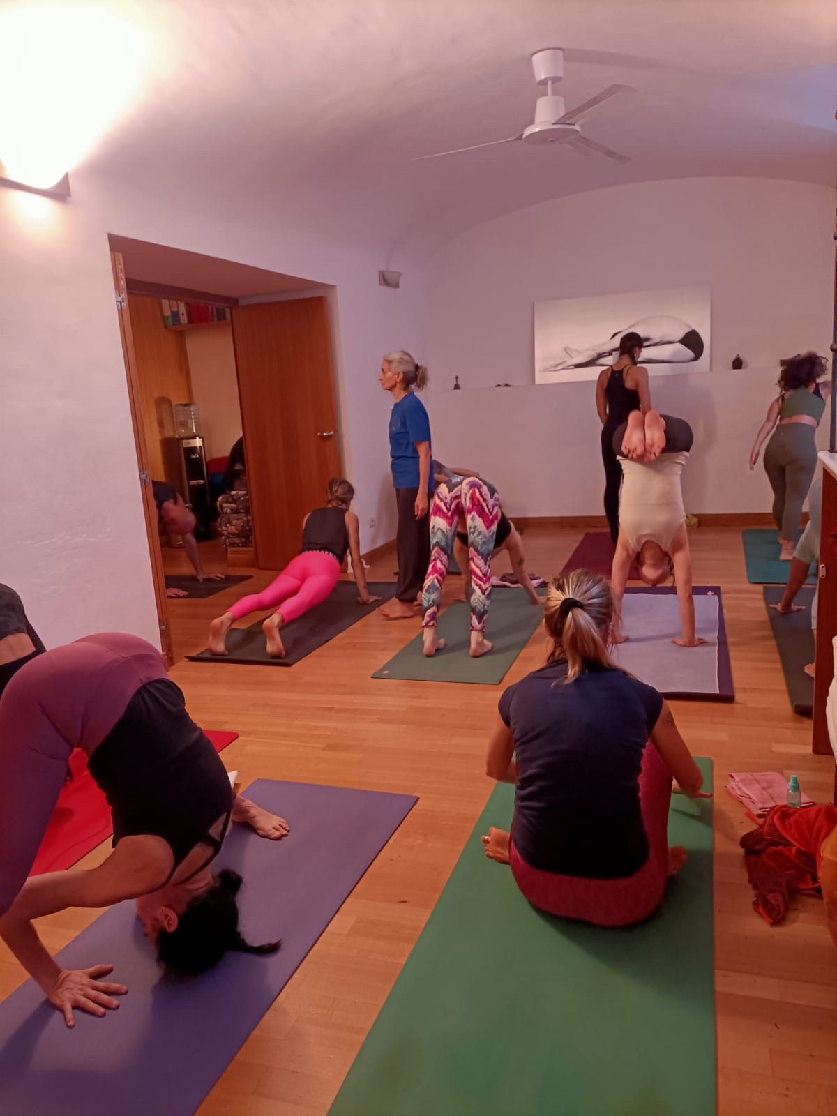 3 MESi di MYSORE STYLE a ROMA 1 APRILE - 26 GIUGNO 2025 