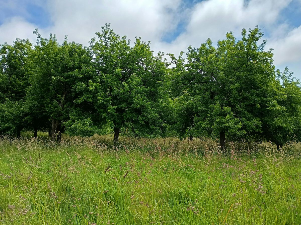 Cornwall Orchard Network Talk \u2013 Traditional Orchards with Colin Hawke