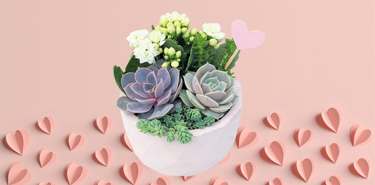 Galentine's Day Succulent Arranging Workshop