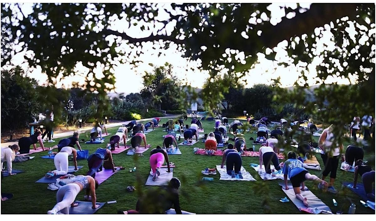 Pilates In The Park