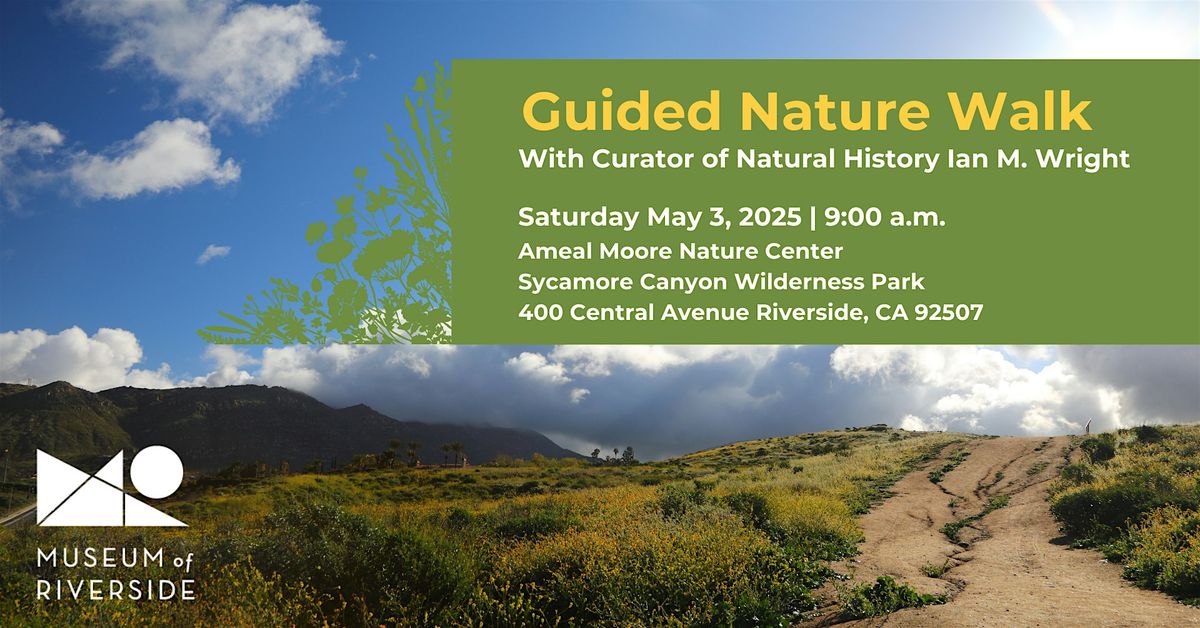 Guided Nature Walk - Wildflowers