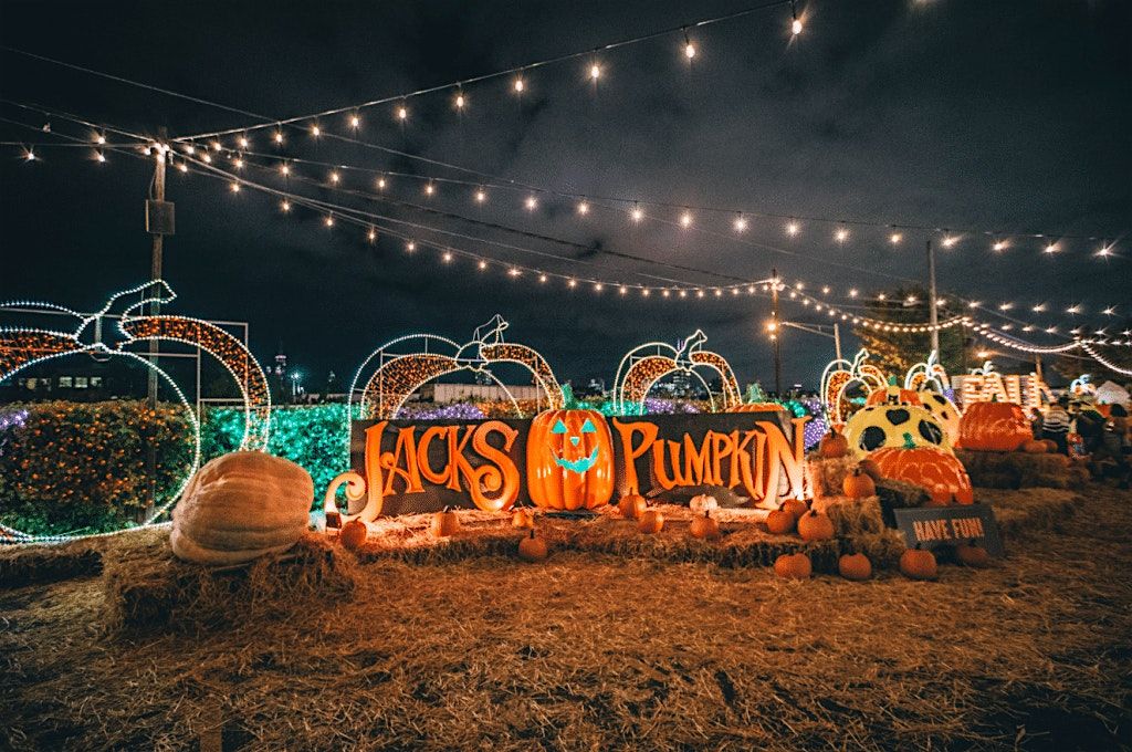 Graduate Council Presents: Jack's Pumpkin Pop-Up