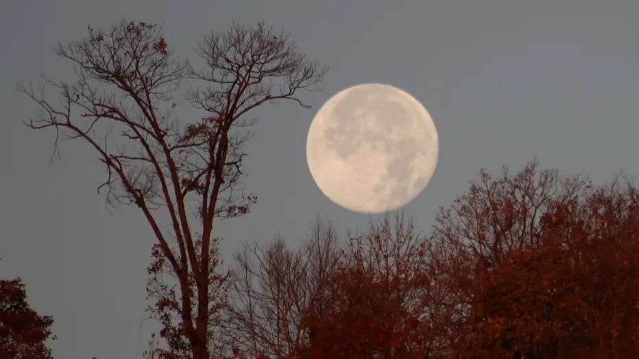 Full Moon Ceremony $20