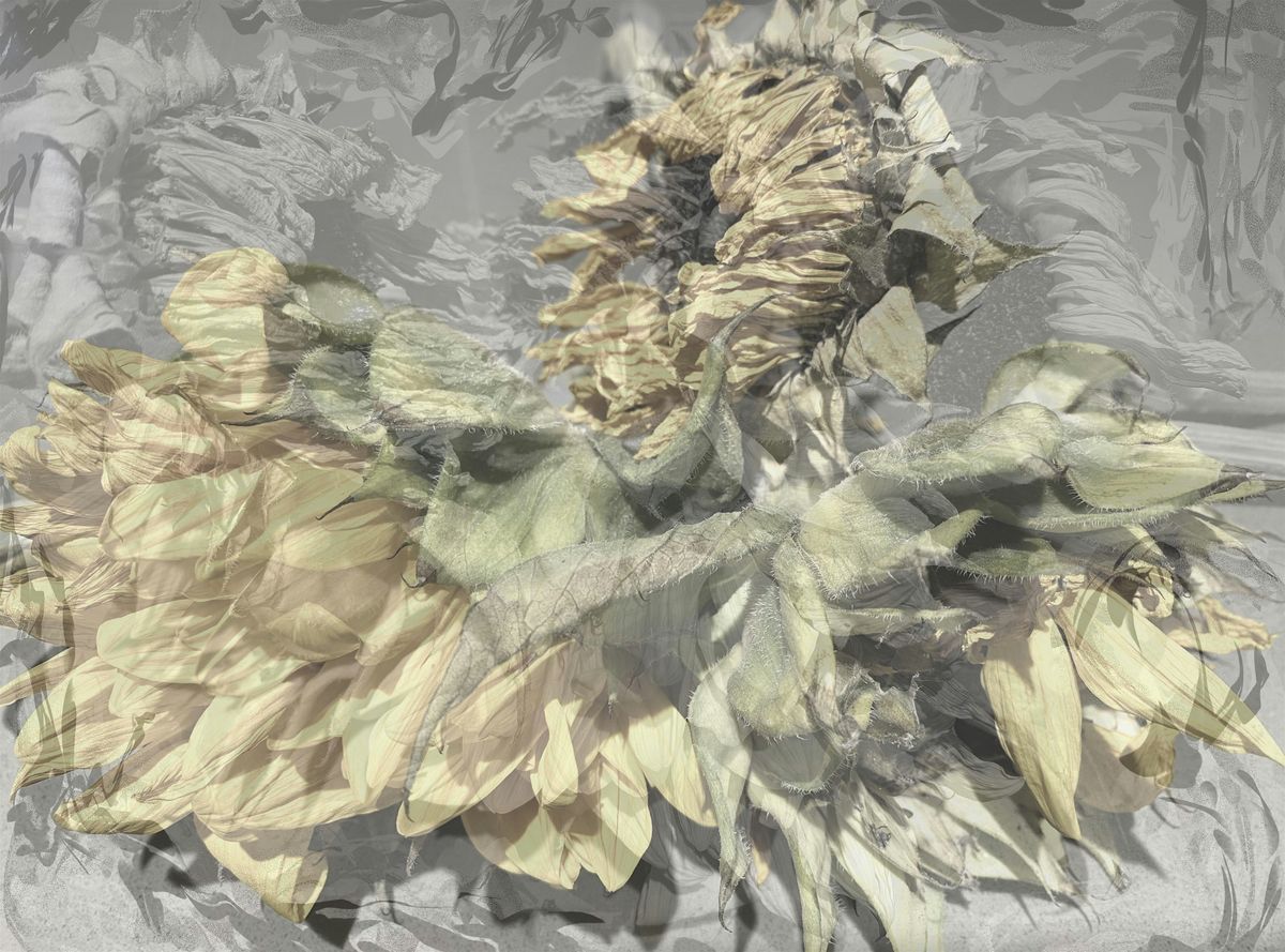 Opening: Fusions - Work by Kevin Hinkle\/Ellen Martin
